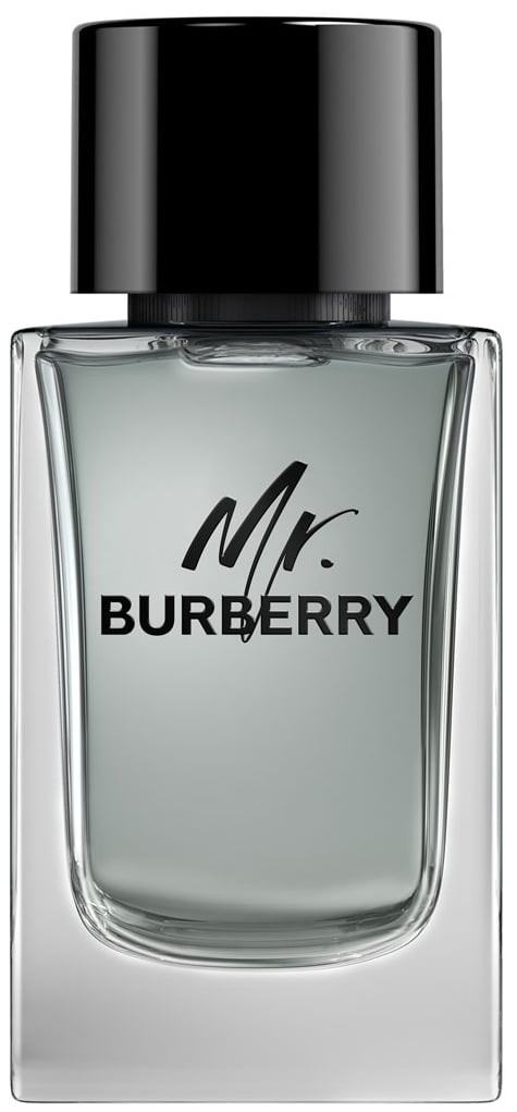 burberry_mr__burberry_eau_de_toilette_spray_150_ml_3614229840087_95206