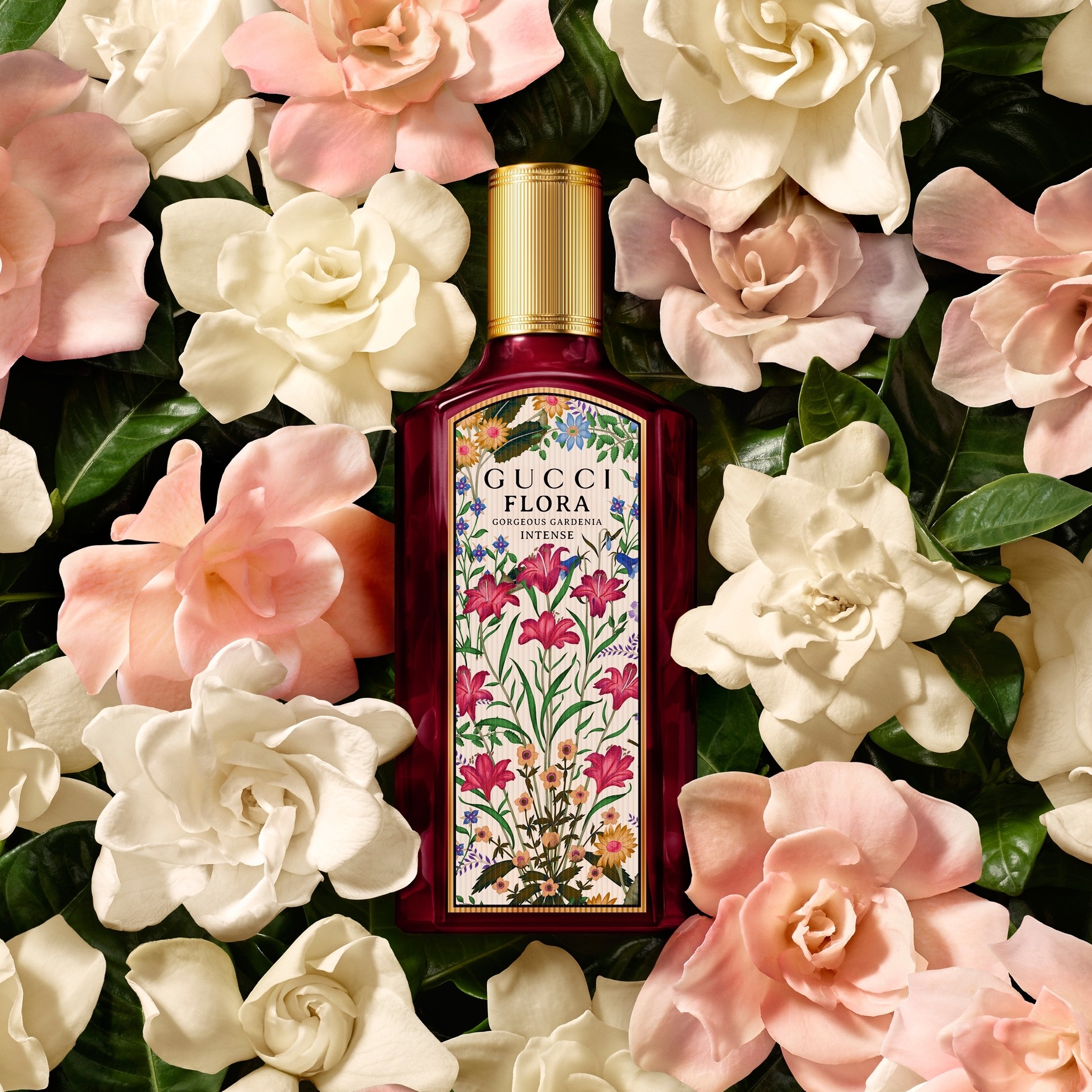 Gucci Flora Gorgeous Gardenia Intense Eau de Parfum 100 ml | BeautyX