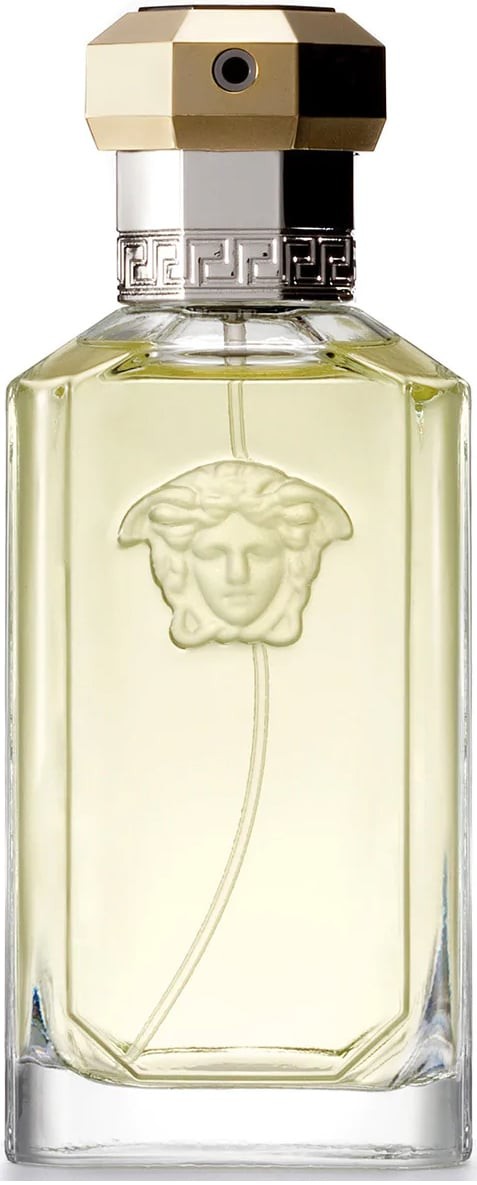 versace_the_dreamer_eau_de_toilette_spray_100_ml_8011003996766_4965