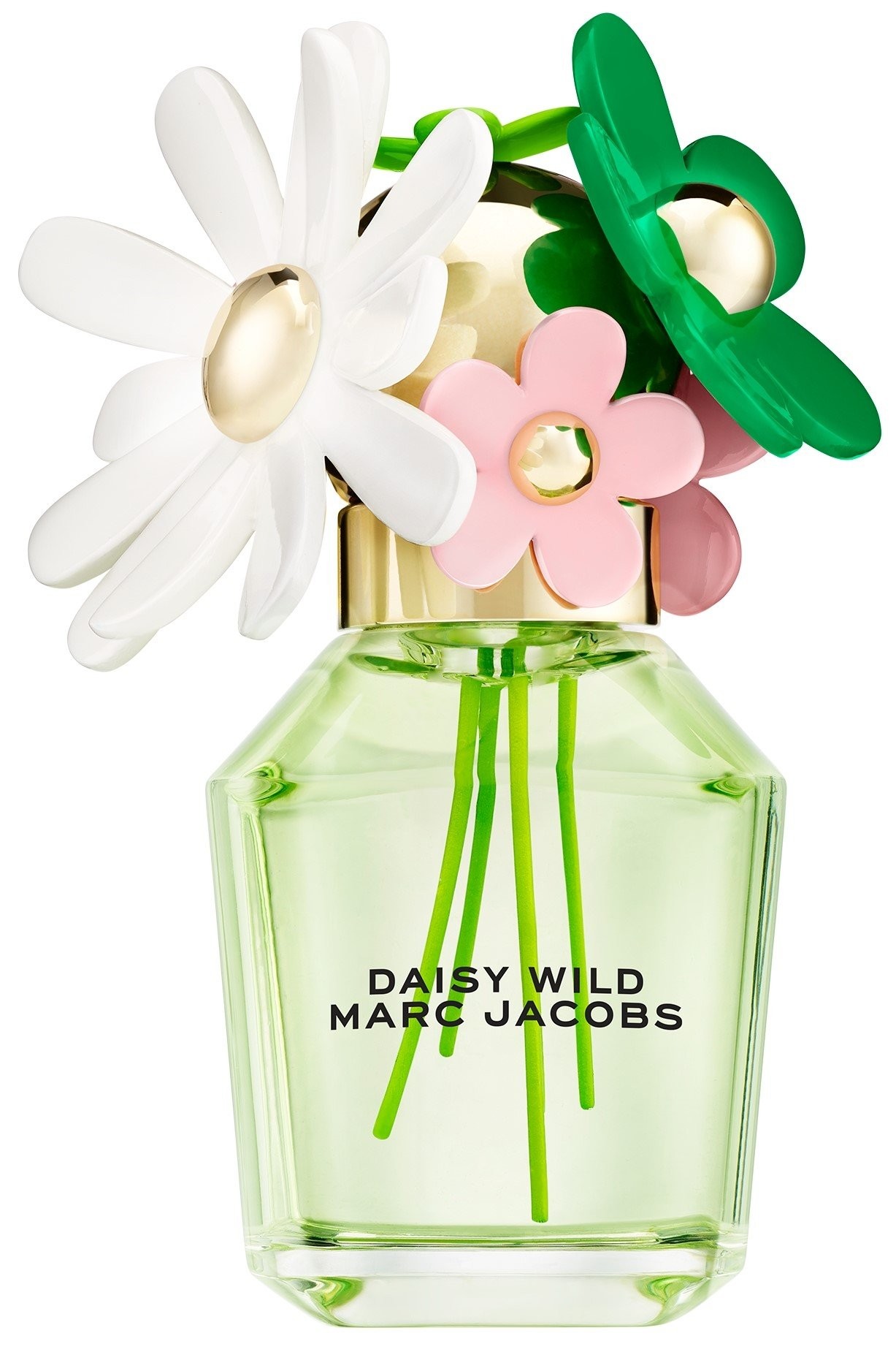 marc_jacobs_daisy_wild_eau_de_parfum_spray_50_ml_3616304254888_858123