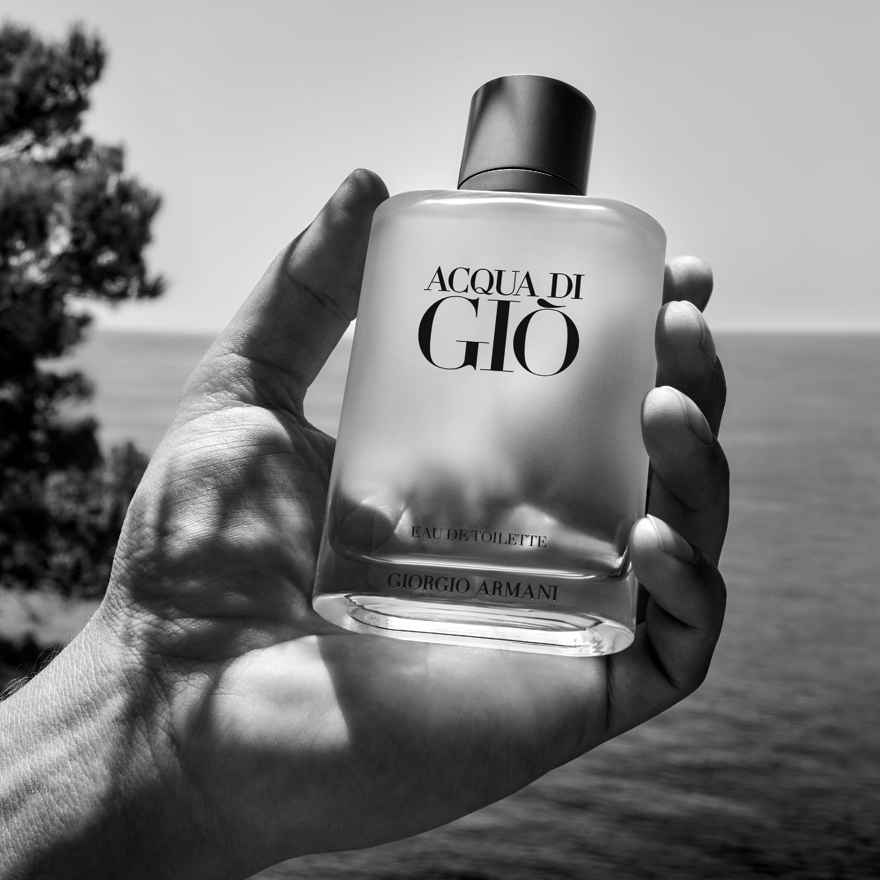 giorgio_armani_acqua_di_gio_eau_de_toilette_navulbaar_100_ml_3614273955546_847635_2