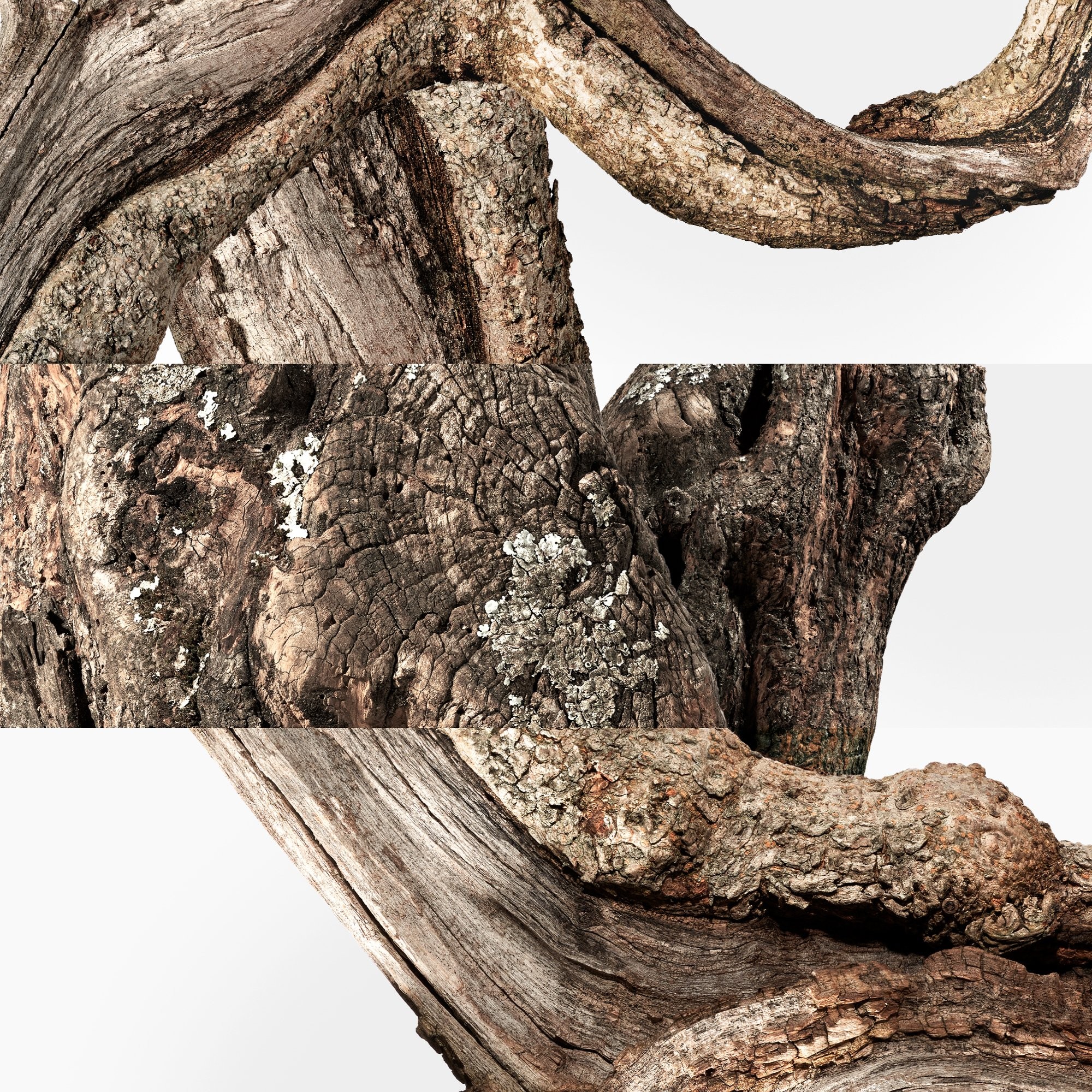 herm__s_un_jardin____cyth__re_eau_de_toilette_spray_100_ml_3346130417262_848454_7
