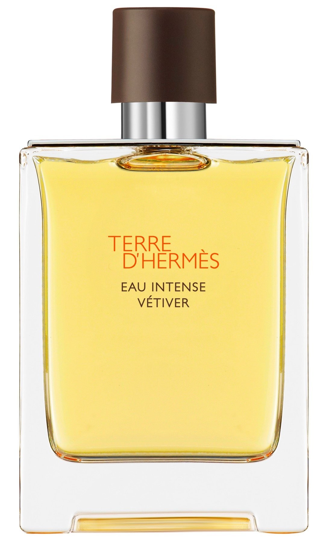 herm__s_terre_d_h__rmes_eau_de_parfum_intense_100_ml_3346131430741_8881