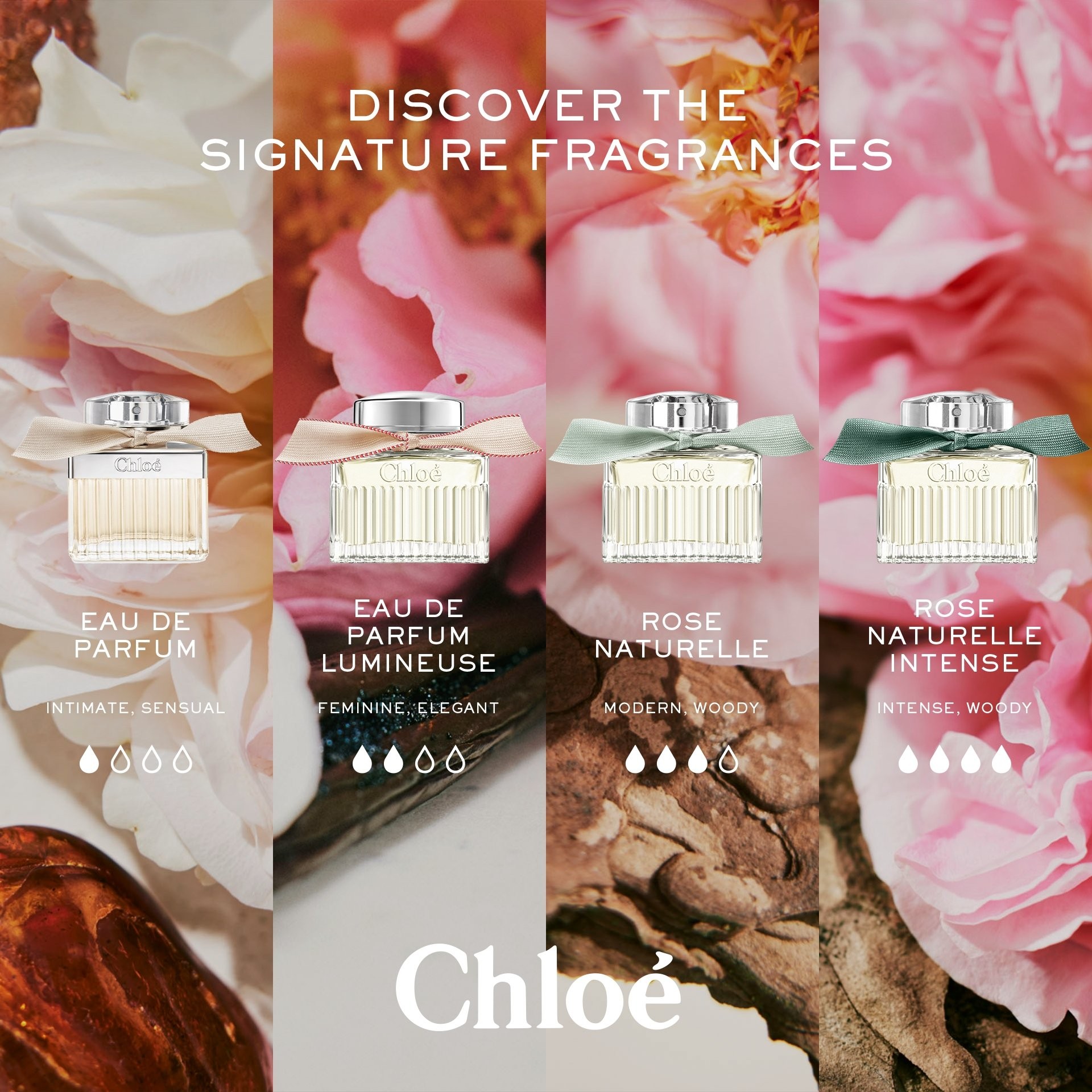 chlo___rose_naturelle_intense_eau_de_parfum_spray_intense_50_ml_3616302038312_369159_6