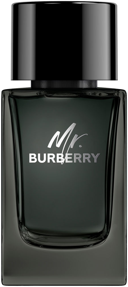 burberry_mr__burberry_eau_de_parfum_spray_100_ml_3616301838210_115346