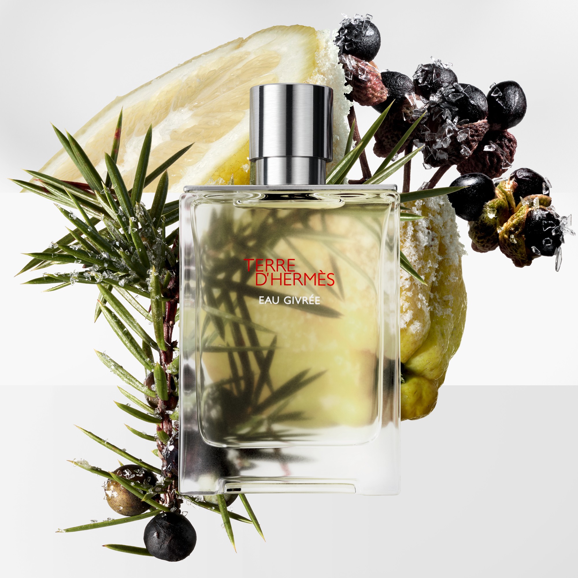 herm__s_terre_d_herm__s_eau_de_parfum_spray_100_ml_3346130012245_123219_2