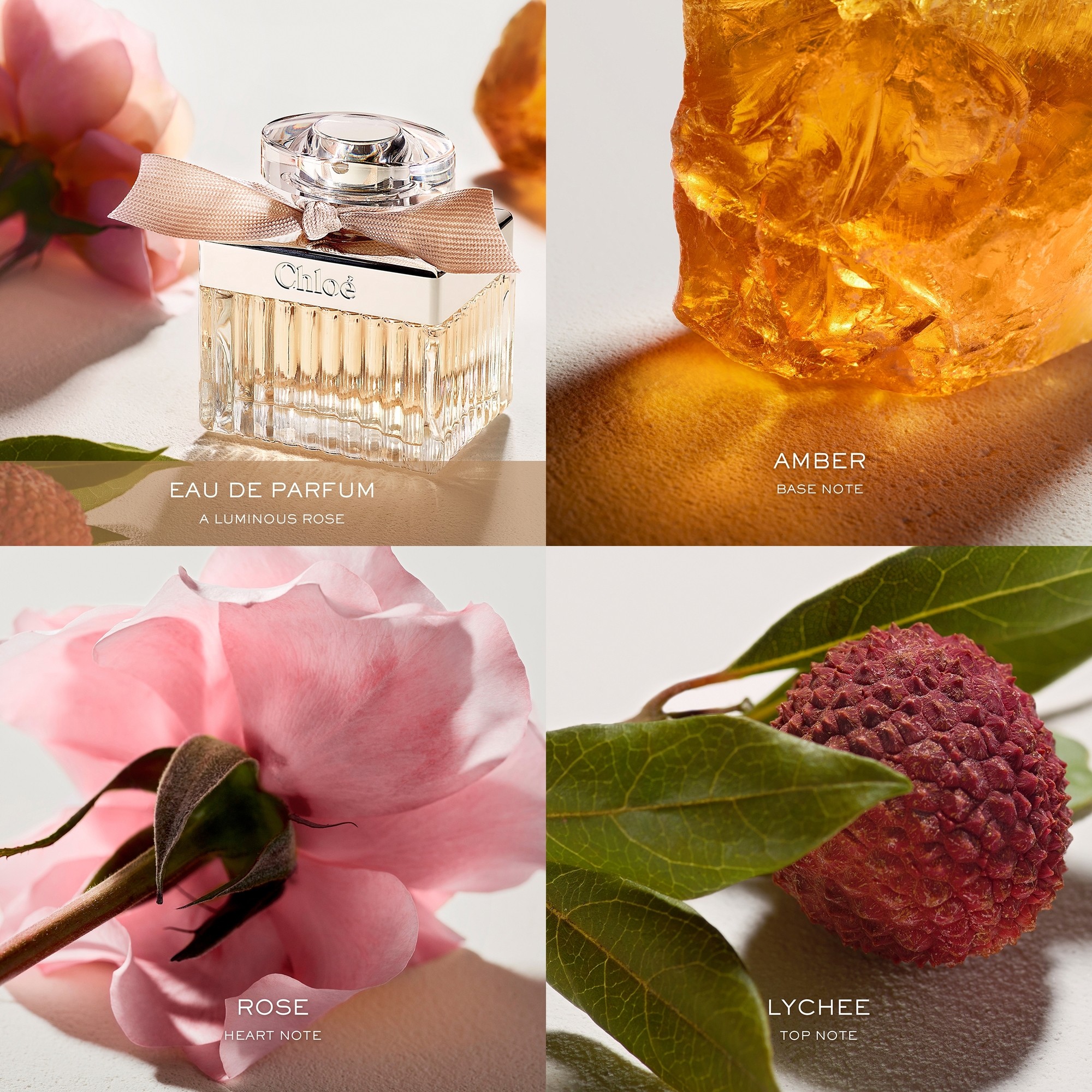 chlo___eau_de_parfum_spray_30_ml_0688575201901_7466_2