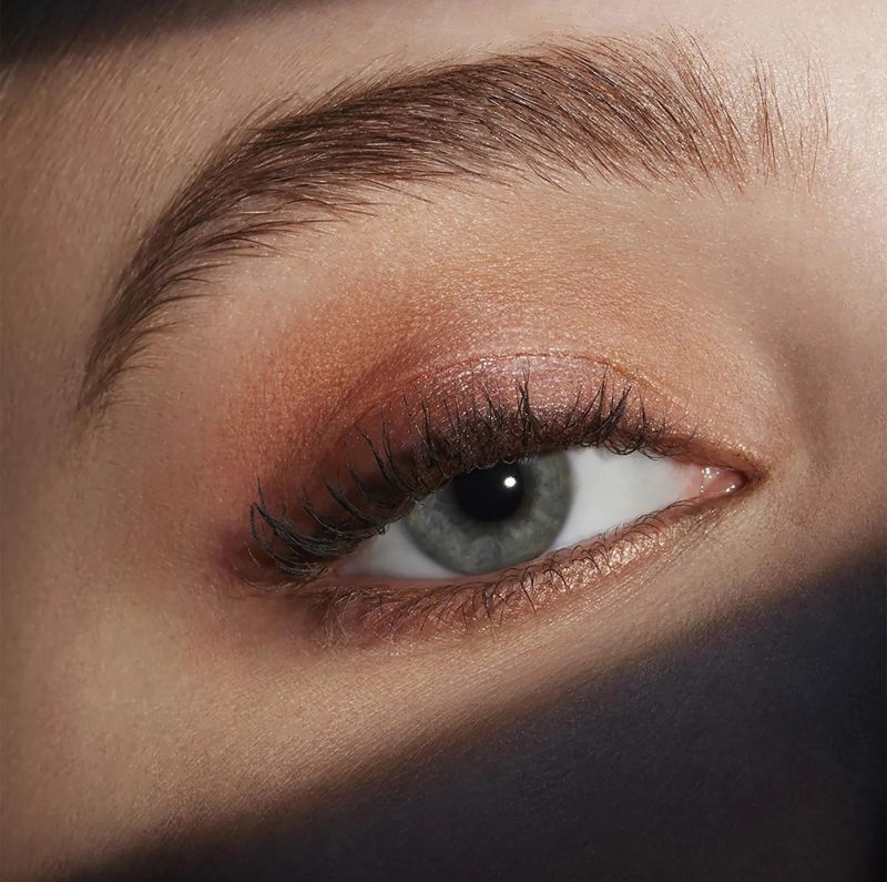 est__e_lauder_pure_color_envy_eyeshadow_palette_6_gr___rebel_petals_-_001___0887167500334_121652_2