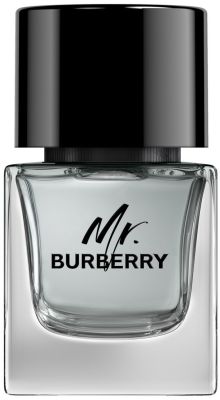 Burberry Mr. Burberry Eau de Toilette