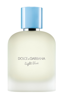 Dolce & Gabbana Light Blue Homme 100 ml Eau de Toilette