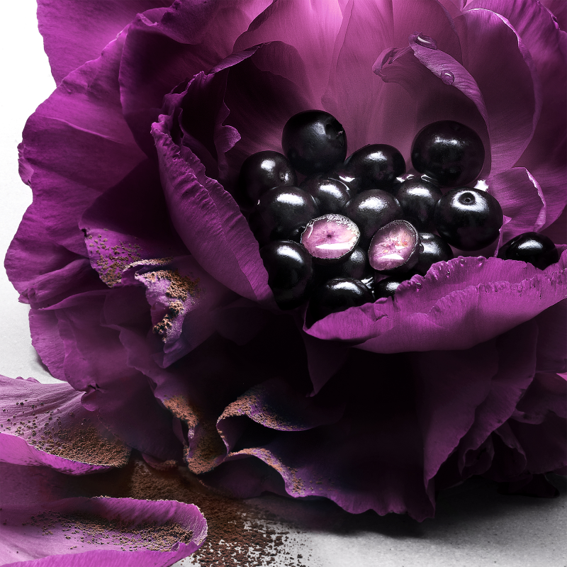lanc__me_la_nuit_tr__sor_2024_eau_de_parfum_spray_50_ml_3614274068801_851095_3