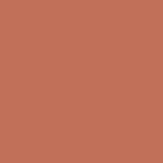 Clarins Water Lip Stain  Lipgloss 13 - Nude Water