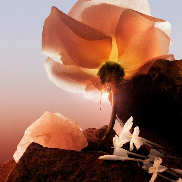 lanc__me_id__le_now_eau_de_parfum_spray_50_ml_3614273927338_840521_5